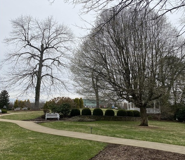 ▲ 마르다 워싱턴 대학이 있던 캠퍼스는 현재 호텔로 사용되고 있다