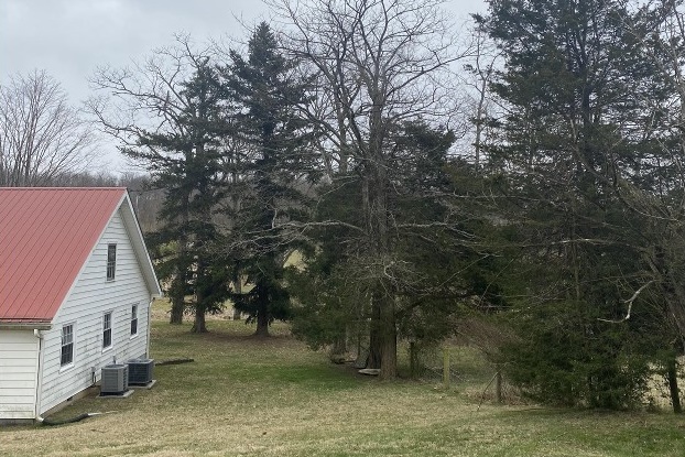 ▲ 데이비스 선교사가 공교육과 주일학교 교육을 받으며 친구들과 뛰어 놀았을 공간