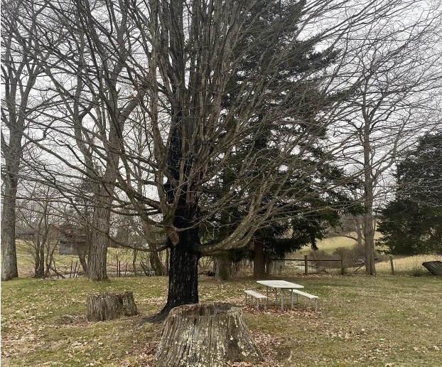 ▲ 지금은 성도들의 쉼터로 사용되고 있는 공간도 데이비스 선교사가 교육과 활동의 공간이었을 것이다