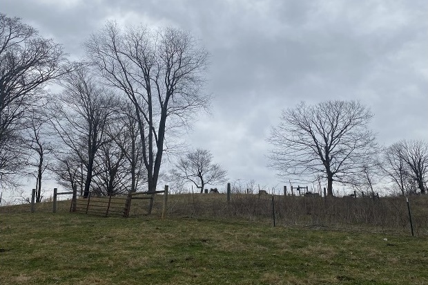 ▲ 데이비스 가문의 공동묘지는 주변이 소를 키우는 농장으로 둘러싸여 있어서 일반인의 접근이 사실상 쉽지 않은 현실이다. 필자도 농장주가 도착하기 전에 펜스를 넘어서 묘지에 접근하려고 무리한 시도를 하려고 했었다. 다행하게도 주인이 그  찰나에 도착하여 전기가 흐르는 펜스를 제거하는 것을 보고 필자는 깜짝놀랐다. 만일 필자가 막무가내로 그 전기가 흐르는 펜스를 넘어갔다면, 아마도 큰 사고가 발생했을 가능성이 컸다. 이런 환경에서 데이비스 가족묘지를 제대로 보존하는 것이 쉽지만은 않아서 마음이 무거웠다. 풀 한포기 돌맹이 하나에 담긴 역사적 의미가 퇴색되는 것 같아 매우 안타깝기 때문이다