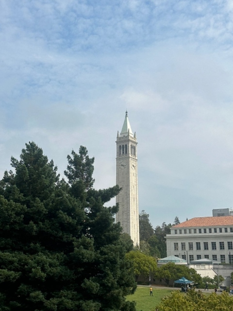 버클리 대학의 중앙도서관과 새더 타워