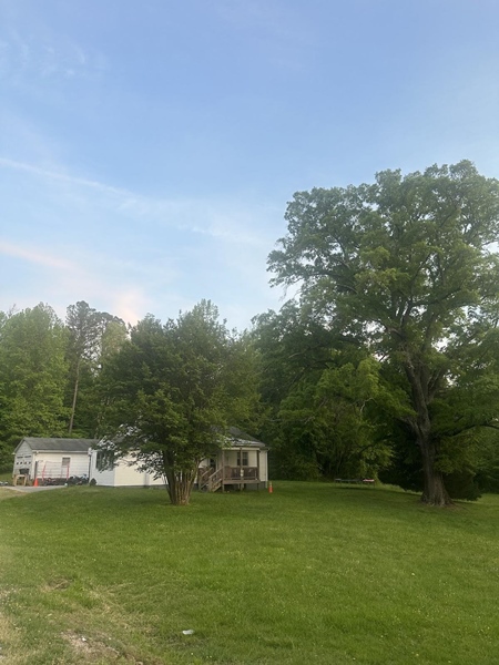 버지니아 마요(Mayo)에 있는 오웬 목사 의사 선교사의 출생지 및 어릴적 추억이 담겨 있는 집터. 건물 뒤쪽 숲속에 집이 있었으나, 현재는 흔적만 남아 있다. 오웬의 출생지는 현재 매물로 나와 있고, 대략 8천9백만원 정도 한다.