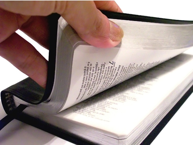 미국의 신학은 시간이 지나면서 초창기 신실한 청교도들의 이주에 이어 많은 이주민이 유럽으로부터 이주해 왔다. 이들은 여러 가지 유럽의 신문물과 철학과 신학 사조를 미국에 전하는 역할을 했다. 영국으로부터 진화론이, 독일로부터 고등비평의 유입이 청교도 신앙을 잠식해 들어왔다.                                                        @pixabay.com