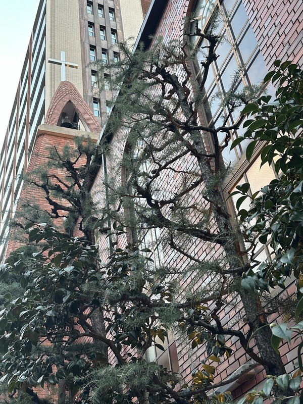 고베 이진칸을 중심으로 역사적인 교회들이 많다. 일본에서 고베만큼 교회들이 많은 곳도 흔치 않다.