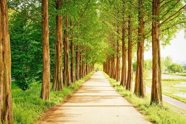 사진=네이버 블로그