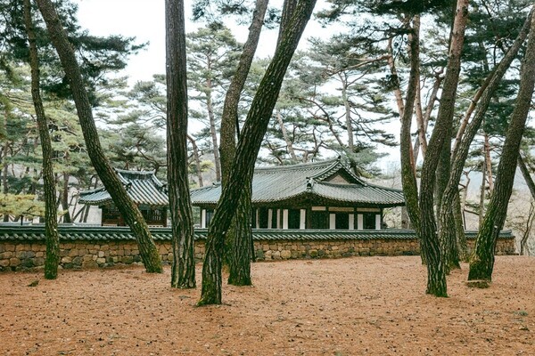 영월 청령포의 단종 어소(사진=네이버 블로그)