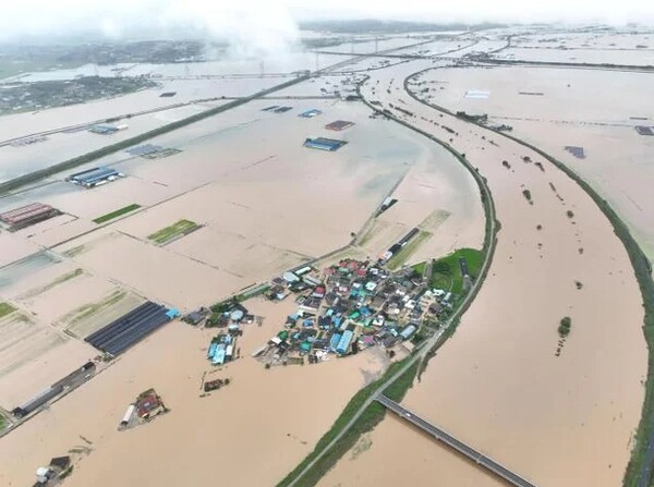 사진=네이트뉴스