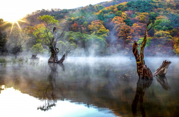주산지의 가을(사진=대구일보)
