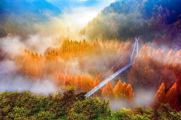 장태산의 가을(사진=한국관광공사 유계정)